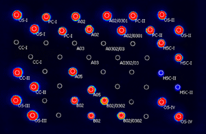 Image: Microarray evaluation by EuroArrayScan (Photo courtesy of Euroimmun).